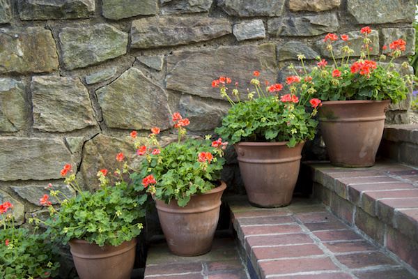 Flowerstairs