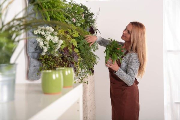 Vertical Gardens